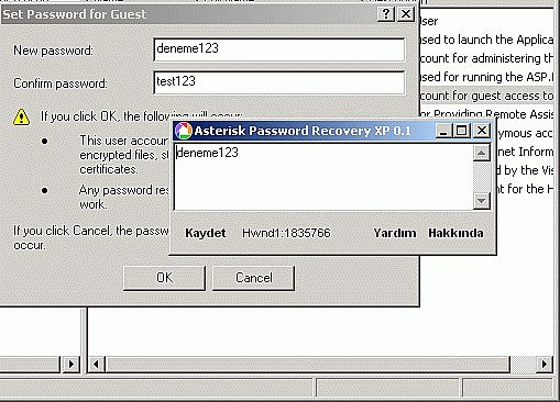 Yıldızlı Şifre Gösterme Programı
